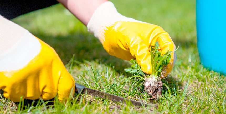 Flash biodiversité